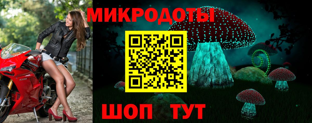 Галлюциногенные грибы Cubensis Химки